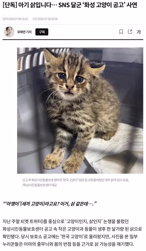 화성 고양이 공고문의 정체는 사실 아기 삵 - 인벤 인기글 이미지 1 - 밈카세