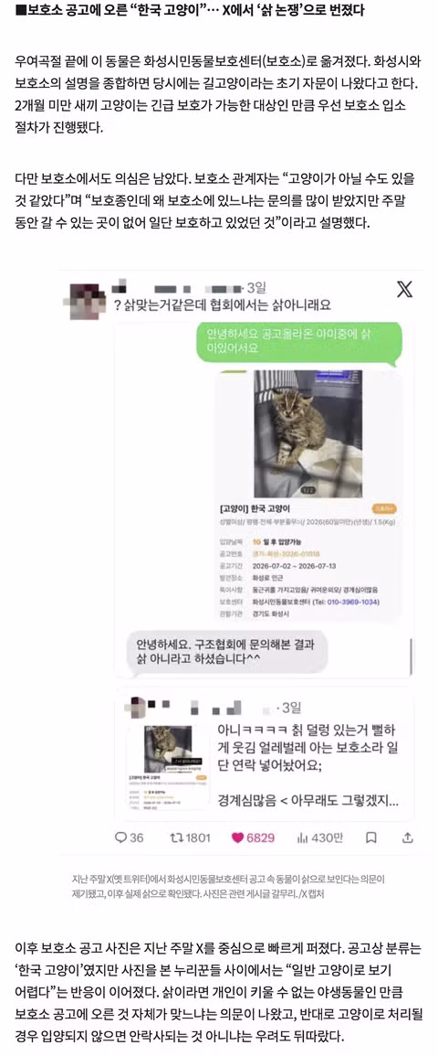 화성 고양이 공고문의 정체는 사실 아기 삵 - 인벤 인기글 이미지 2 - 밈카세