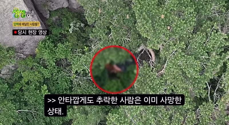 설악산 울산바위 암벽에 고립된 사람들 - 디시인사이드 인기글 이미지 6 - 밈카세