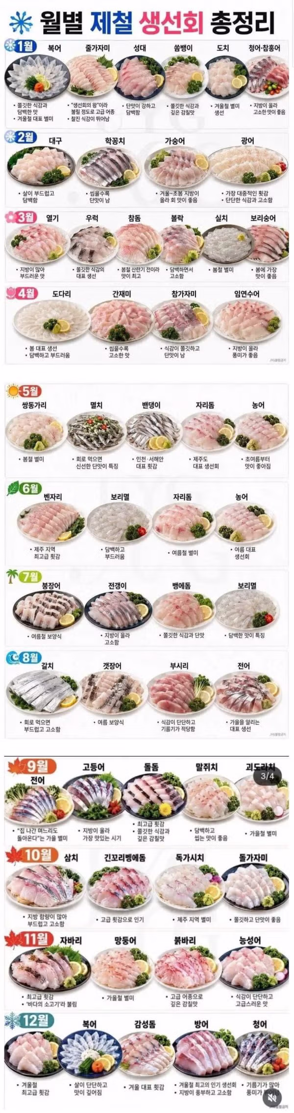 생선회 제철 총 정리 - 인벤 인기글 이미지 1 - 밈카세