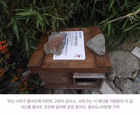 캣맘 규제 청원에 대한 EU의 사례 - 인벤 인기글 이미지 3 - 밈카세