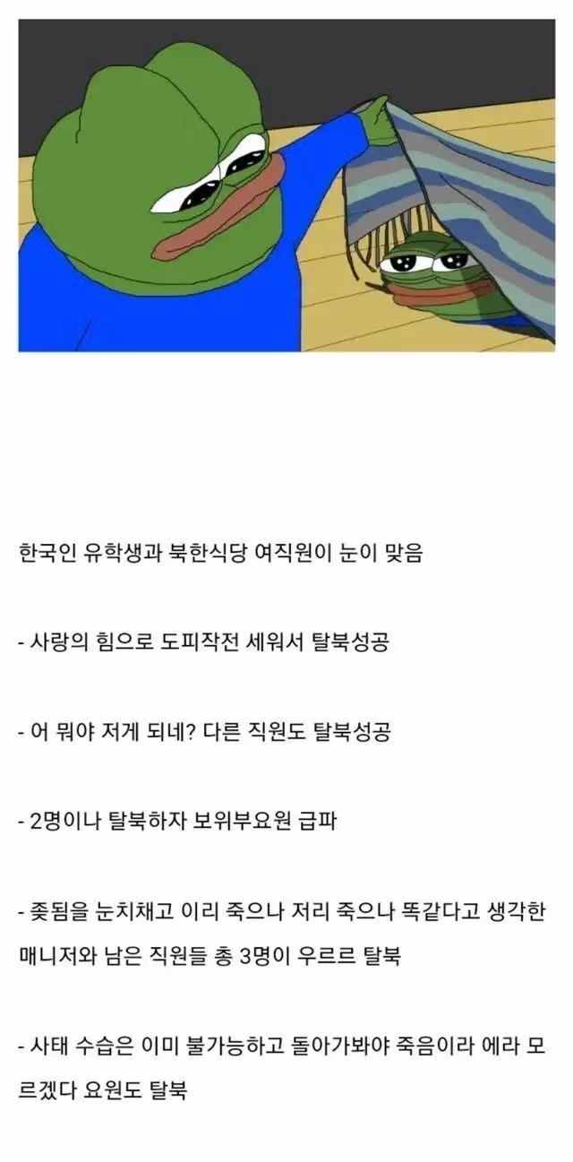 외국 북한식당에서 벌어진 탈북 레전드 사건 - 인벤 인기글 이미지 1 - 밈카세