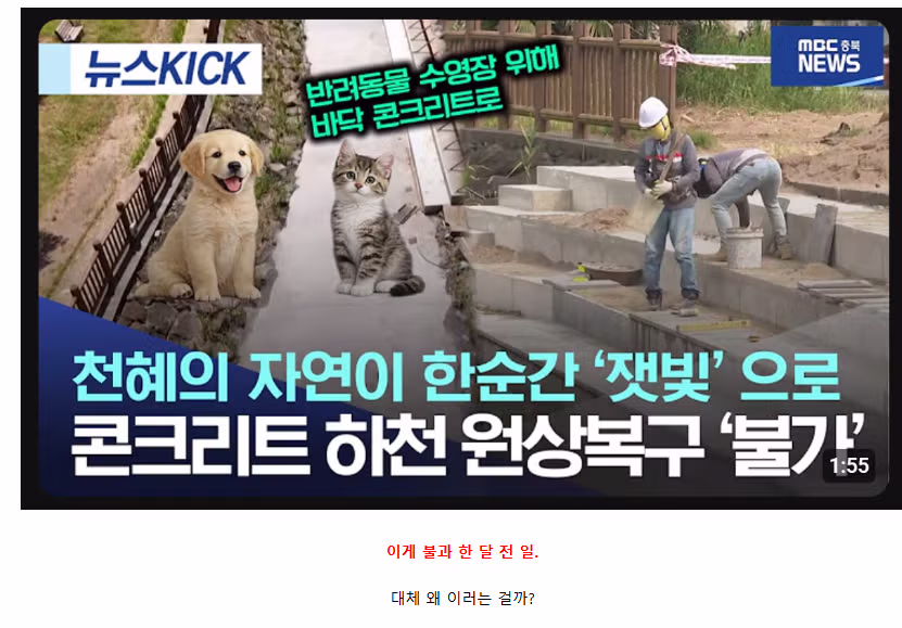 제주도 문화유산 훼손 논란 상황 - 인벤 인기글 이미지 4 - 밈카세