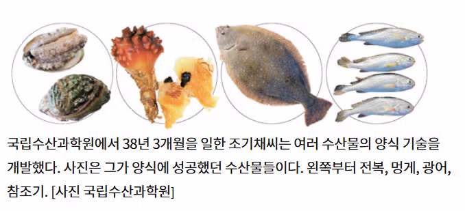 회 먹을 때마다 감사하게 되는 인물 - 뽐뿌 인기글 이미지 9 - 밈카세