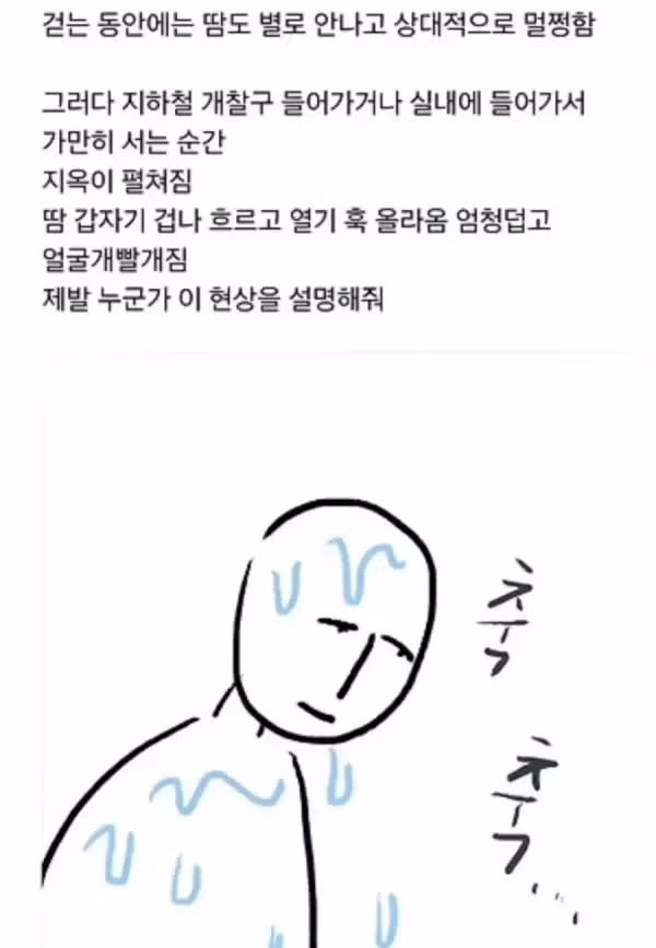걷다 멈췄을 때 땀이 갑자기 쏟아지는 이유 - 뽐뿌 인기글 이미지 1 - 밈카세