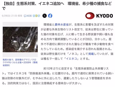 일본의 외래종 길고양이 방제 추진과 한국의 상황 - 인벤 인기글 이미지 1 - 밈카세