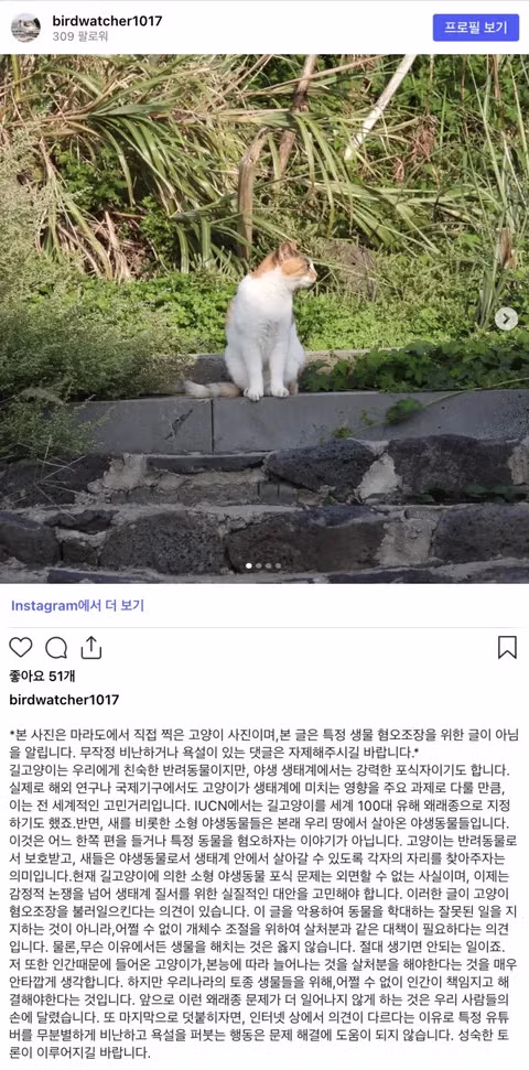 마라도에서 만난 귀여운 고양이들 - 뽐뿌 인기글 이미지 1 - 밈카세