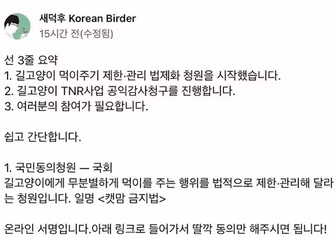 마라도에서 만난 귀여운 고양이들 - 뽐뿌 인기글 이미지 8 - 밈카세