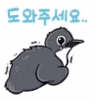 마라도에서 만난 귀여운 고양이들 - 뽐뿌 인기글 이미지 7 - 밈카세