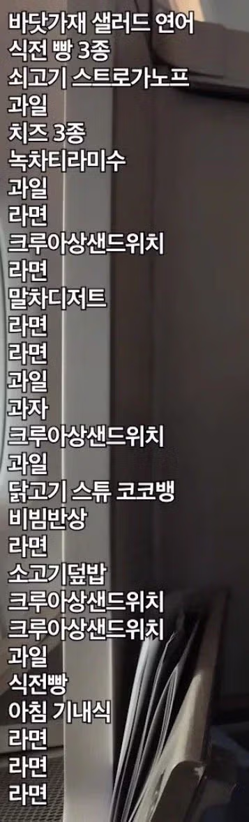 기내식 먹방을 시도한 유튜버의 최후 - 디시인사이드 인기글 이미지 3 - 밈카세