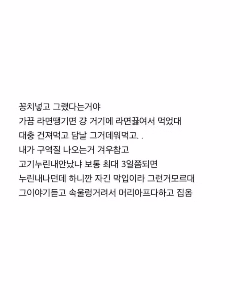 2년 자취한 남자친구 집에 있는 씨김치찌개의 정체 - 인벤 인기글 이미지 4 - 밈카세