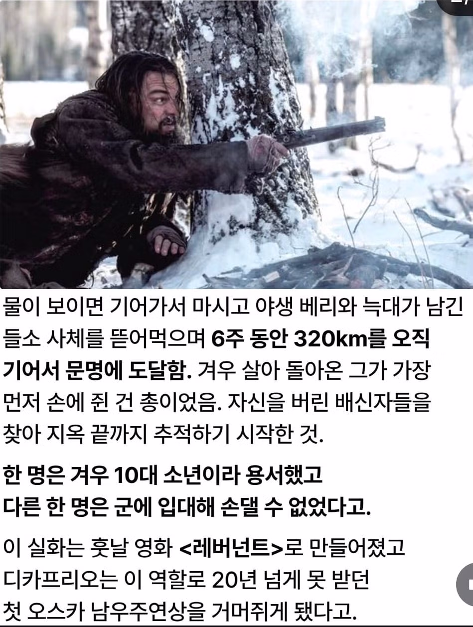 곰에게 공격받고 생매장되었으나 기적적으로 생존한 사연 - 디시인사이드 인기글 이미지 3 - 밈카세