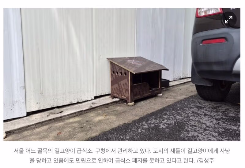 길고양이가 생태계에 미치는 영향과 논란 - 인벤 인기글 이미지 2 - 밈카세