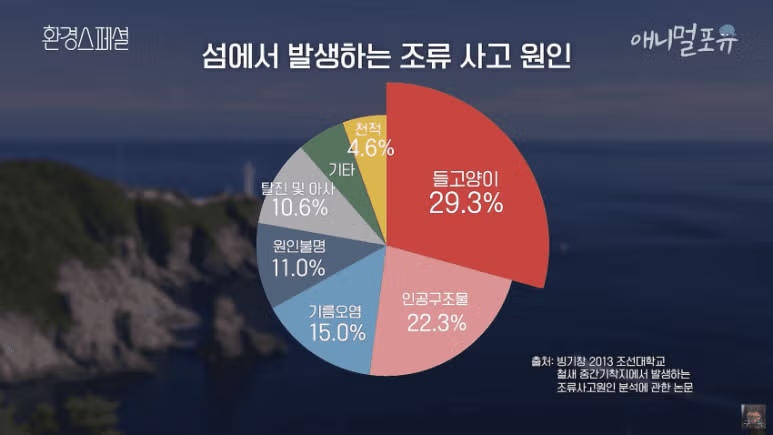 길고양이가 생태계에 미치는 영향과 논란 - 인벤 인기글 이미지 4 - 밈카세