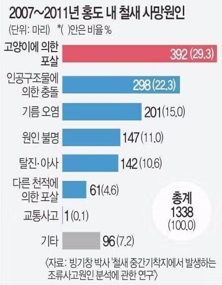 길고양이가 생태계에 미치는 영향과 논란 - 인벤 인기글 이미지 5 - 밈카세