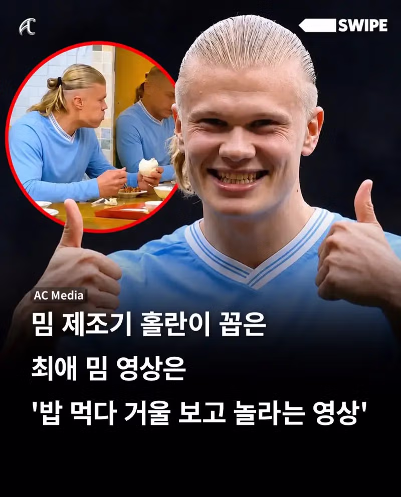 홀란드가 직접 선택한 최고의 밈 - 디시인사이드 인기글 이미지 1 - 밈카세