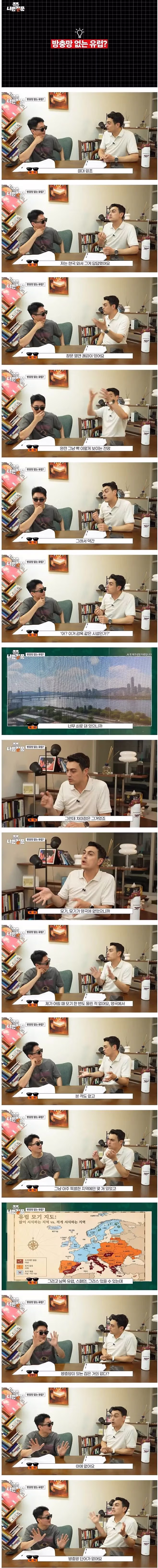 유럽 건물에 방충망이 없는 이유 - 개드립 인기글 이미지 1 - 밈카세