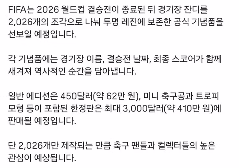 FIFA 월드컵 공식 굿즈 - 뽐뿌 인기글 이미지 2 - 밈카세