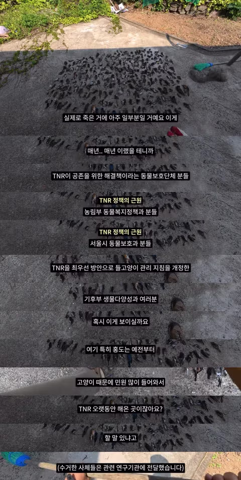 걷기만 해도 이름이 바뀌는 신기한 동물 - 인벤 인기글 이미지 2 - 밈카세