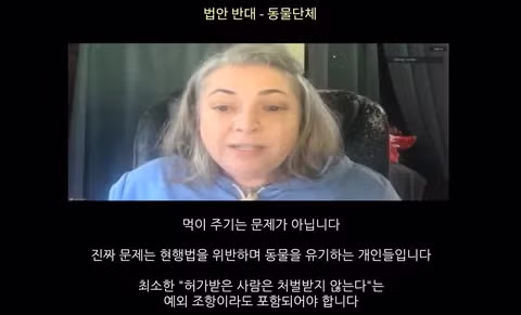 캣맘금지법 반대 청원하는 캣맘들의 반전 반응 - 인벤 인기글 이미지 4 - 밈카세
