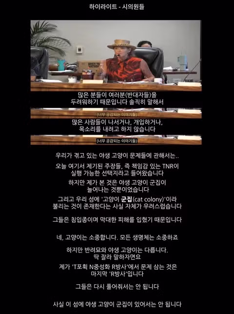 캣맘금지법 반대 청원하는 캣맘들의 반전 반응 - 인벤 인기글 이미지 5 - 밈카세