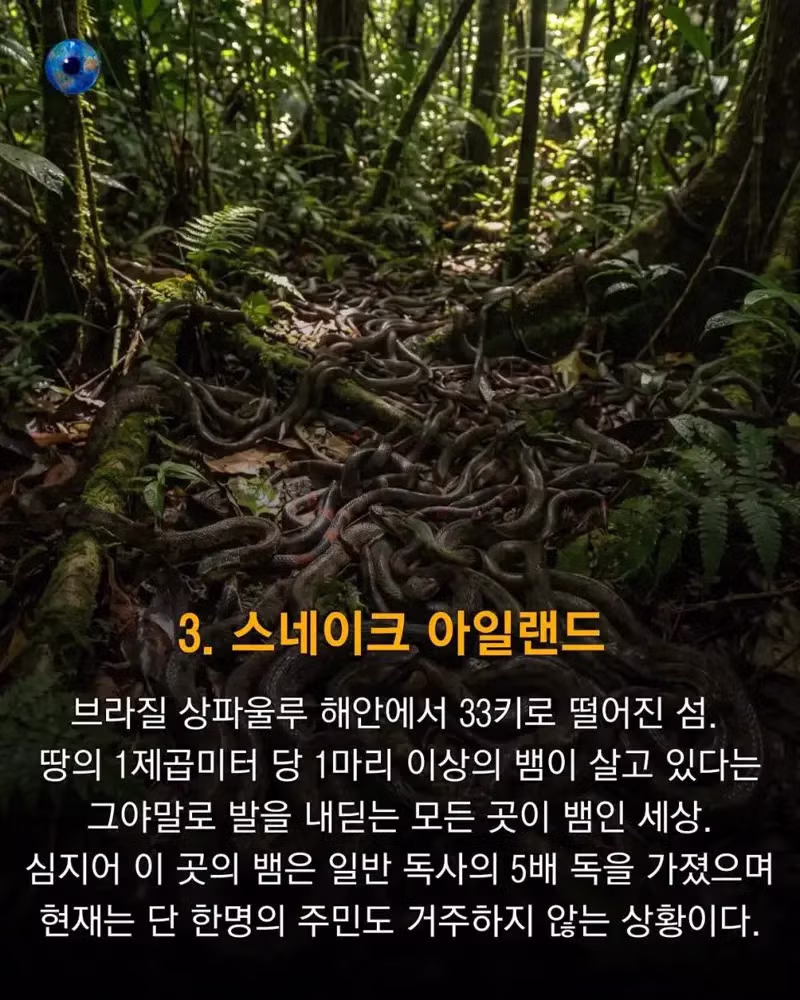 전 세계에서 출입이 금지된 위험 구역들 - 디시인사이드 인기글 이미지 4 - 밈카세