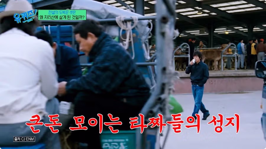 허영만 작가가 밝힌 타짜 제작 비하인드 - 디시인사이드 인기글 이미지 23 - 밈카세