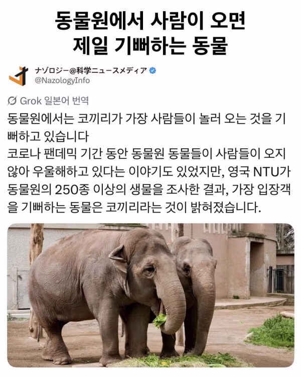 사람을 좋아하는 동물원 동물 - 클리앙 인기글 이미지 1 - 밈카세
