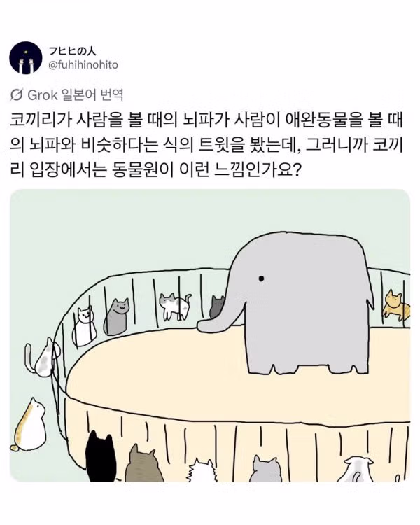 사람을 좋아하는 동물원 동물 - 클리앙 인기글 이미지 2 - 밈카세