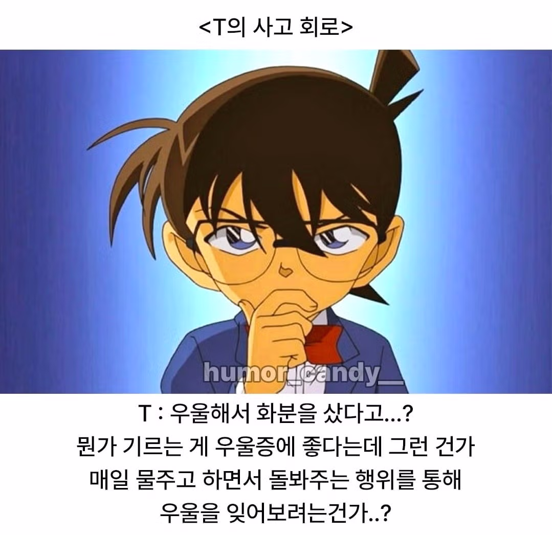 우울해서 화분 샀다는 말에 T가 하는 반응 - 인벤 인기글 이미지 2 - 밈카세