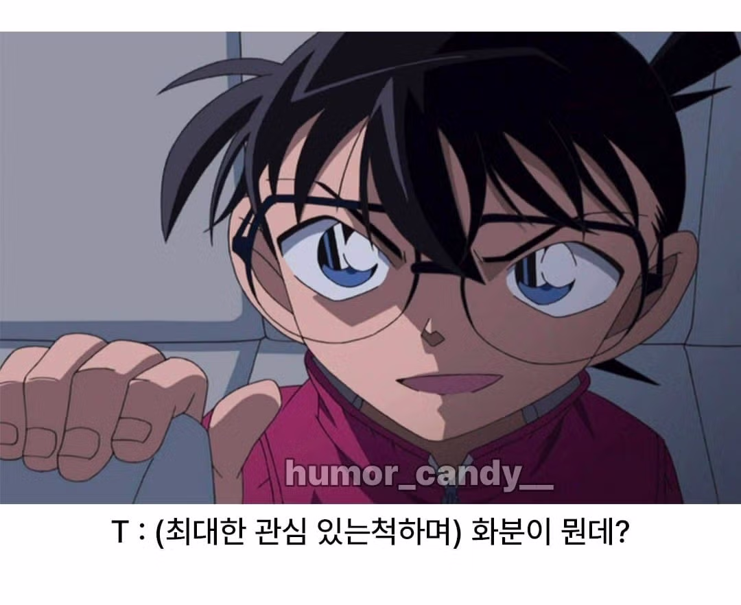 우울해서 화분 샀다는 말에 T가 하는 반응 - 인벤 인기글 이미지 5 - 밈카세