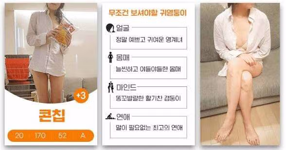 수사 중인 경찰관들까지 웃게 만든 불법 광고 문구 - 개드립 인기글 이미지 2 - 밈카세