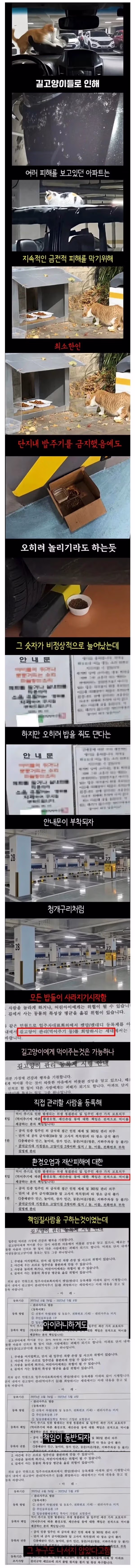 캣맘들이 사라진 이유 - 뽐뿌 인기글 이미지 1 - 밈카세