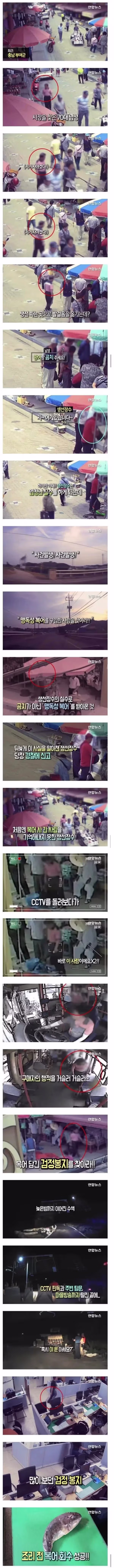 실수로 복어를 팔아버린 시장 상인의 최후 - 뽐뿌 인기글 이미지 1 - 밈카세