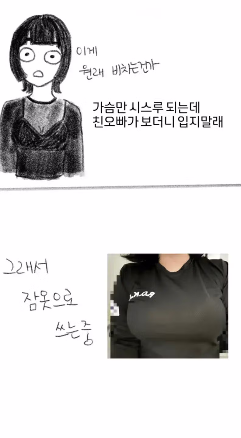 가슴 부각이 싫어 큰 사이즈 옷만 구매하는 여성 - 인벤 인기글 이미지 2 - 밈카세