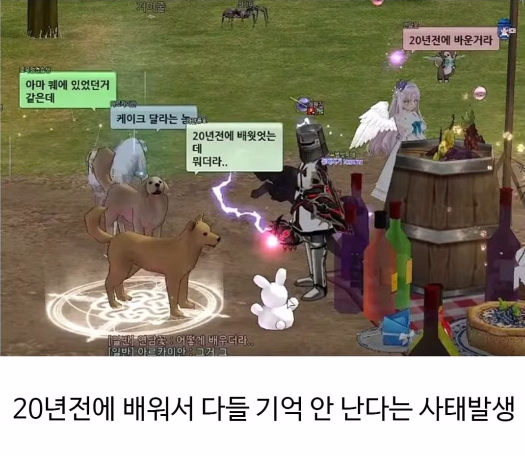 오래된 온라인 게임에서 볼 수 있는 풍경 - 뽐뿌 인기글 이미지 4 - 밈카세