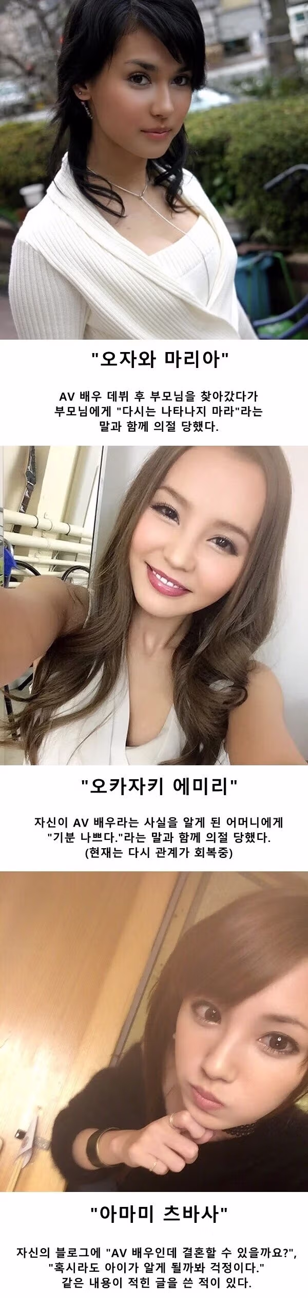 일본 내 성인 비디오 배우들의 사회적 인식 - 디시인사이드 인기글 이미지 3 - 밈카세