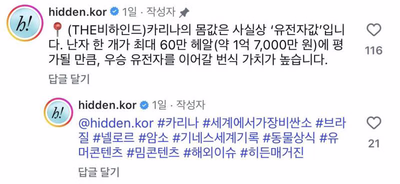 카리나의 최근 모습 - 디시인사이드 인기글 이미지 2 - 밈카세