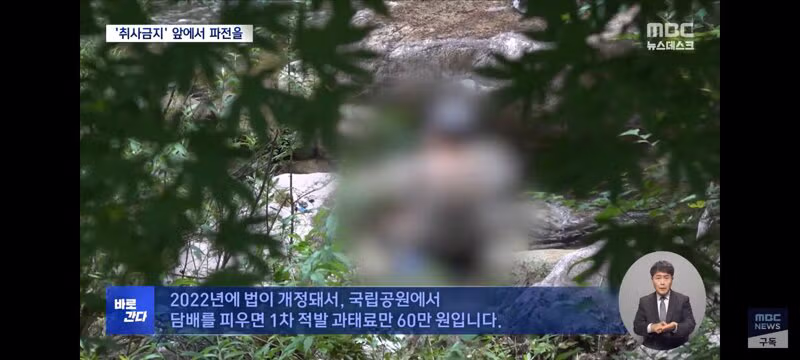 국립공원 내 취사 흡연 야영 금지 위반자들의 뻔한 변명 - 클리앙 인기글 이미지 12 - 밈카세