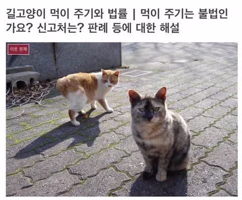 일본 캣맘의 민형사상 책임 범위와 처벌 수위 - 인벤 인기글 이미지 3 - 밈카세