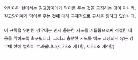 일본 캣맘의 민형사상 책임 범위와 처벌 수위 - 인벤 인기글 이미지 8 - 밈카세