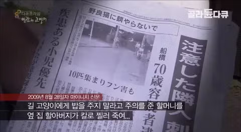 일본 캣맘의 민형사상 책임 범위와 처벌 수위 - 인벤 인기글 이미지 19 - 밈카세