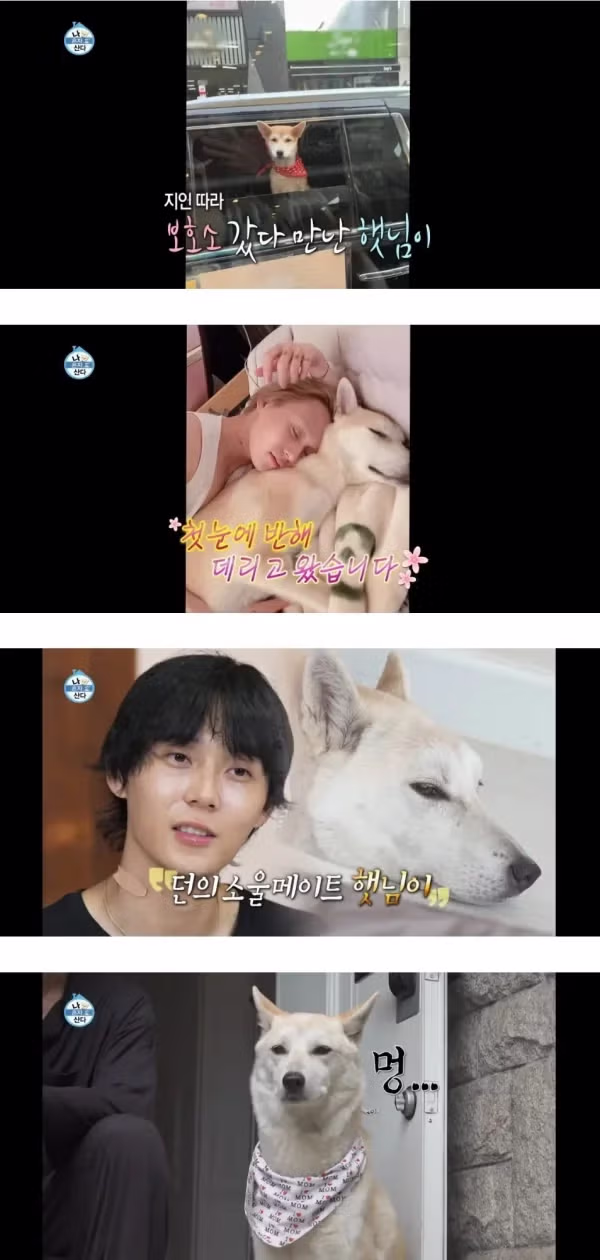 나혼자산다에서 계속 의외라는 반응 나온 회차 - 디시인사이드 인기글 이미지 3 - 밈카세