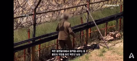 철원에서 지뢰 해체 작업 중 귀순한 북한군 병사 - 클리앙 인기글 이미지 2 - 밈카세