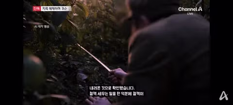 철원에서 지뢰 해체 작업 중 귀순한 북한군 병사 - 클리앙 인기글 이미지 5 - 밈카세