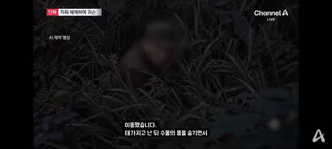 철원에서 지뢰 해체 작업 중 귀순한 북한군 병사 - 클리앙 인기글 이미지 7 - 밈카세