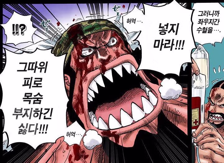 한국판 피셔타이거 - 디시인사이드 인기글 이미지 2 - 밈카세