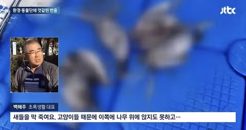 캣맘금지법 논쟁에 참여한 목사님과 수의사님의 시각 - 인벤 인기글 이미지 5 - 밈카세