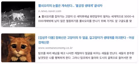 캣맘금지법 논쟁에 참여한 목사님과 수의사님의 시각 - 인벤 인기글 이미지 6 - 밈카세