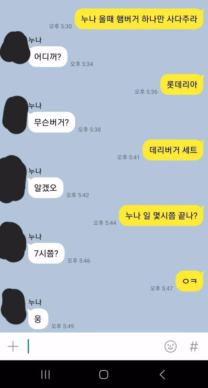 친누나 있는 남자들이 공감하는 현실 누나와의 카톡 - 인벤 인기글 이미지 3 - 밈카세